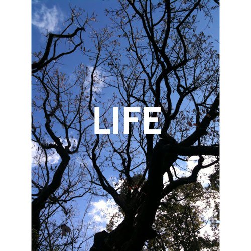 life.jpg